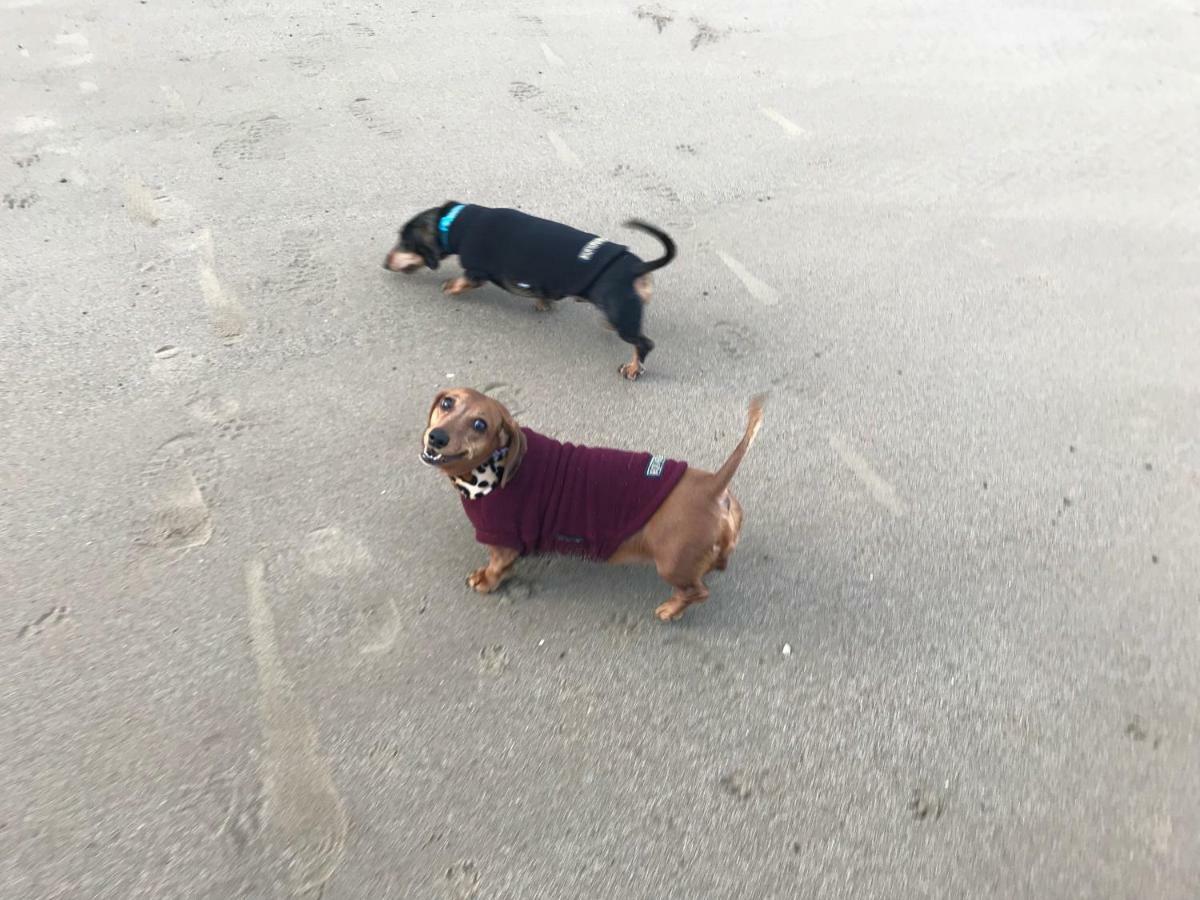 The Seahorse 1 Bedroomed Apartment Dog Friendly Filey Εξωτερικό φωτογραφία