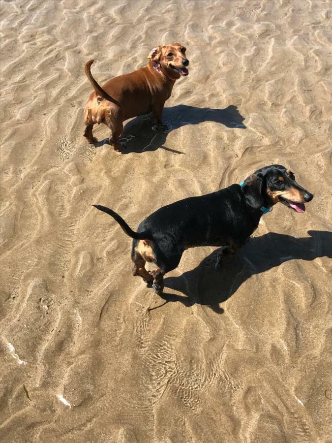 The Seahorse 1 Bedroomed Apartment Dog Friendly Filey Εξωτερικό φωτογραφία